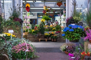 Bilder aus dem Blumenladen.